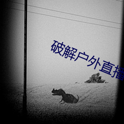 破解戶外直播平台