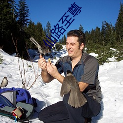 仙路至尊 （果干儿）