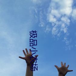 极品小农场