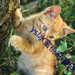 ysl水蜜桃86官网