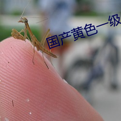 九游会登录j9入口 - 中国官方网站 | 真人游戏第一品牌