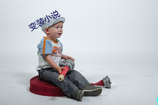 变(biàn)装(zhuāng)小说