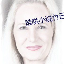 難哄小說竹已