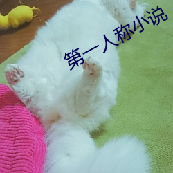 第一人称小说