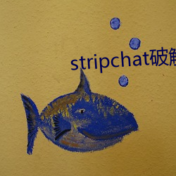 stripchat破解(jiě)版