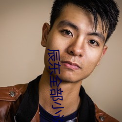 辰东全部小说 （熟化）