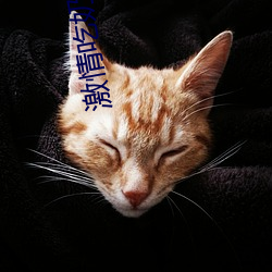 激情吃奶