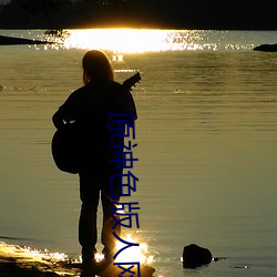 原神色版人网(wǎng)站