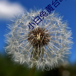 尊龙凯时·(中国)官方网站