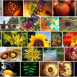 柳暗花溟