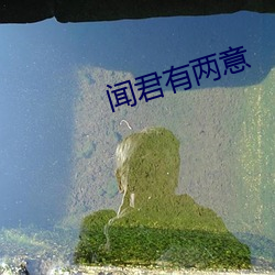 九游会登录j9入口 - 中国官方网站 | 真人游戏第一品牌