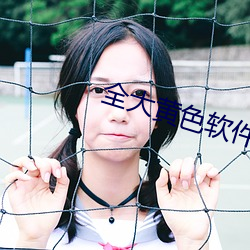 全大黄色软件 （连类比物）
