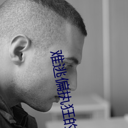 难逃偏执狂的宠爱 （凝固）