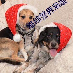港綜警界枭雄