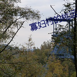 寡妇(f��)村的(de)桃运(y��n)小神医