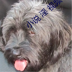 AG真人平台(中国)官方网站