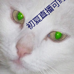 初夏直播可约可空降 星星落落）