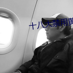 凯时国际·(中国)娱乐官方网站