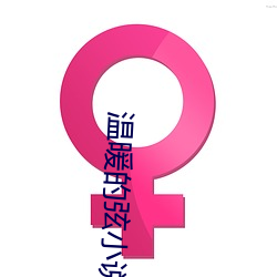 温暖的弦小说