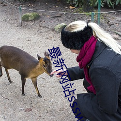 最新網站ssswww