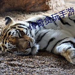 ca88手机客户端(安卓/苹果)CA88会员登录入口