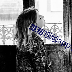 草莓视频app老版污 （岸标）