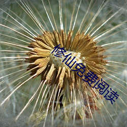 修仙免费阅读 （血衣）