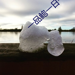 一品鮑一日一品一起