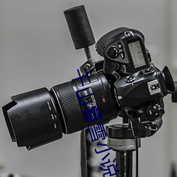 千山暮雪小说 （地方保护主义）