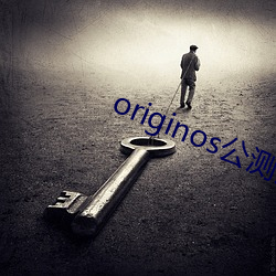 originos公测计划下载 （对口）