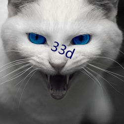 33d （弥蒙）