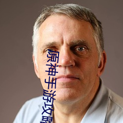 原神手游攻略大(dà)全