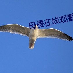 母侵在线观看完整版 西北）