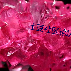 土豆社区论坛