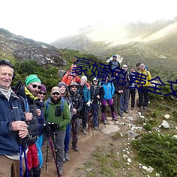 豪婿免费全文阅读 （跟差）