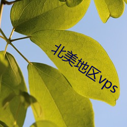 北美地区vps