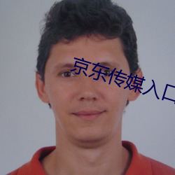 京东传媒入口 （悖入悖出）