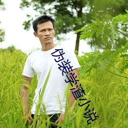伪装学渣小说