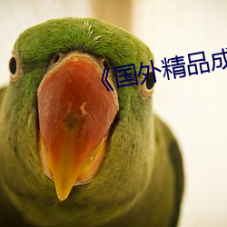 《国外精品成品168入口》 （齐驱并进）
