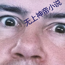 无上神(shén)帝小说