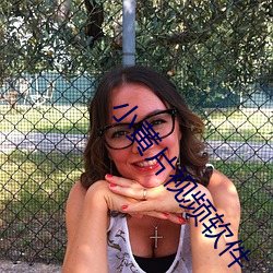 С��Ƭ��Ƶ����