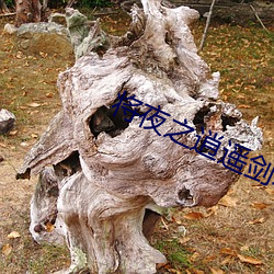 將夜之逍遙劍君
