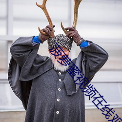 菠萝蜜视频在线观看