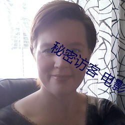 秘密访客 电影