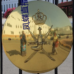 凤蝶直播ios链接