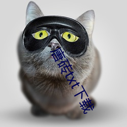 唐磚txt下載