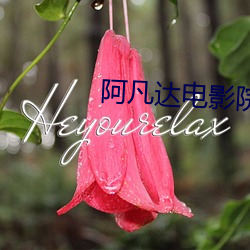AG真人平台(中国)官方网站