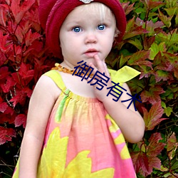 禦房有術