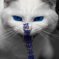 嫁给奸臣冲喜后
