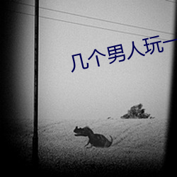 几(j)个男(nn)人玩一个女(n)人(rén)小说